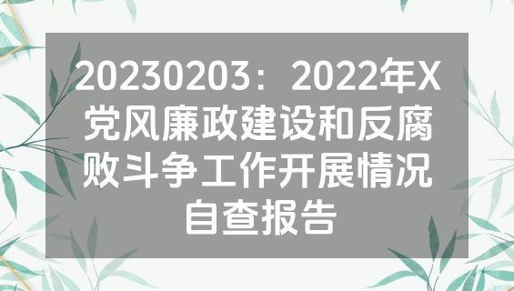 20230203：2022年X党风廉政建设和反腐败斗争工作开展情况自查报告