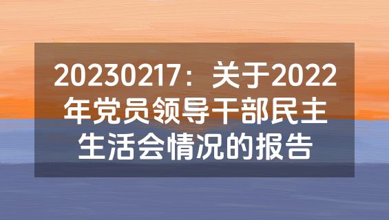 20230217：关于2022年党员领导干部民主生活会情况的报告