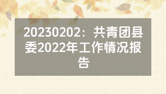20230202：共青团县委2022年工作情况报告