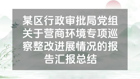 某区行政审批局党组关于营商环境专项巡察整改进展情况的报告汇报总结
