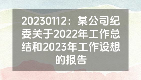 20230112：某公司纪委关于2022年工作总结和2023年工作设想的报告