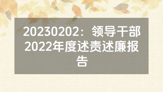 20230202：领导干部2022年度述责述廉报告