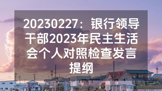 20230227：银行领导干部2023年民主生活会个人对照检查发言提纲