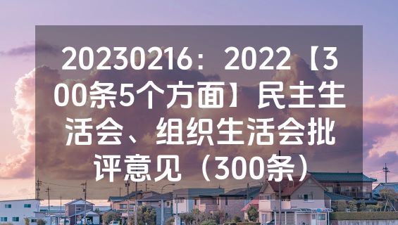 20230216：2022【300条5个方面】民主生活会、组织生活会批评意见（300条）