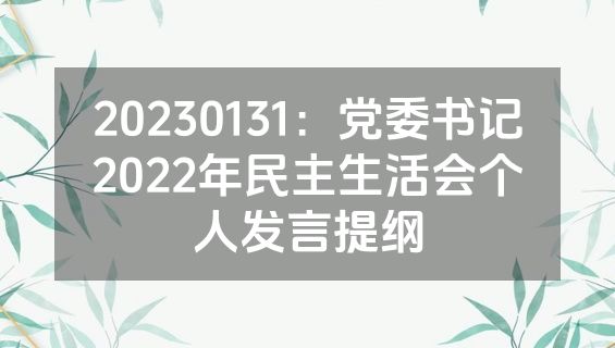 20230131：党委书记2022年民主生活会个人发言提纲