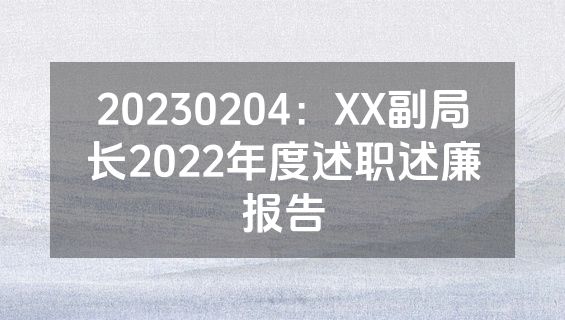 20230204：XX副局长2022年度述职述廉报告