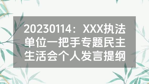 20230114：XXX执法单位一把手专题民主生活会个人发言提纲