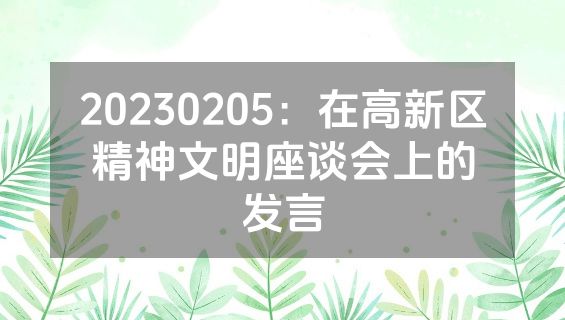 20230205：在高新区精神文明座谈会上的发言