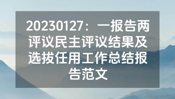 20230127：一报告两评议民主评议结果及选拔任用工作总结报告范文