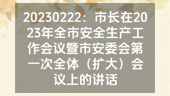 20230222：市长在2023年全市安全生产工作会议暨市安委会第一次全体（扩大）会议上的讲话