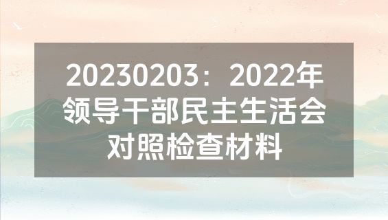 20230203：2022年领导干部民主生活会对照检查材料
