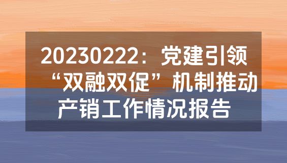 20230222：党建引领“双融双促”机制推动产销工作情况报告