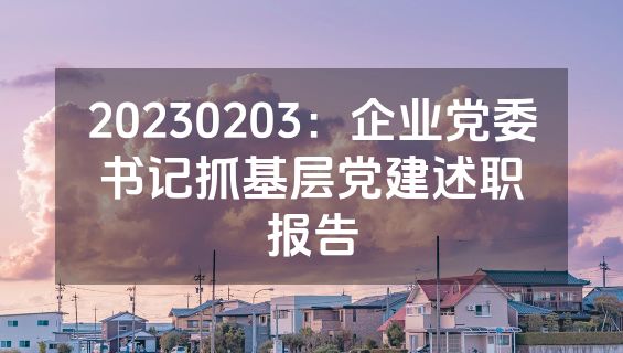 20230203：企业党委书记抓基层党建述职报告