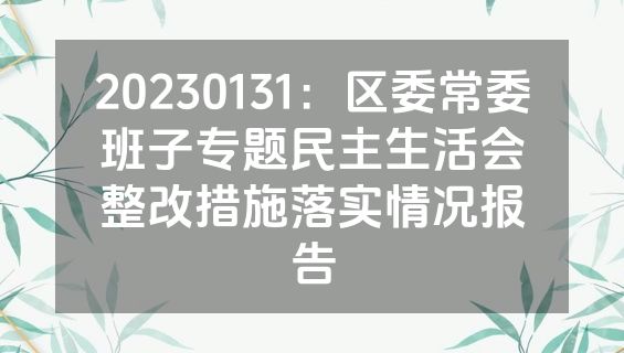 20230131：区委常委班子专题民主生活会整改措施落实情况报告