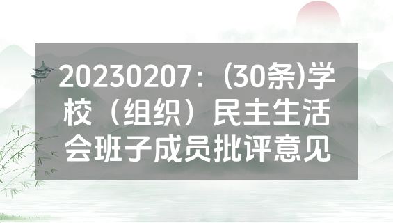 20230207：(30条)学校（组织）民主生活会班子成员批评意见