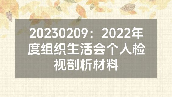 20230209：2022年度组织生活会个人检视剖析材料