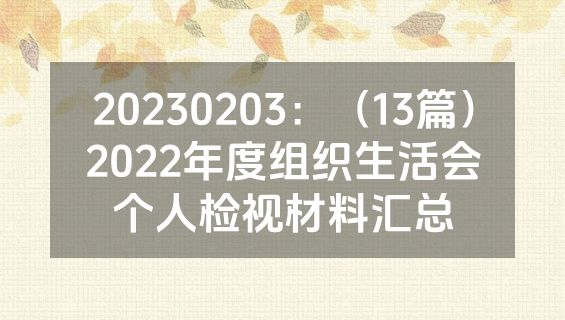 20230203：（13篇）2022年度组织生活会个人检视材料汇总