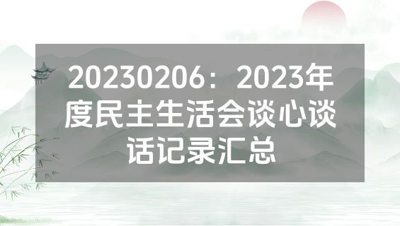 20230206：2023年度民主生活会谈心谈话记录汇总