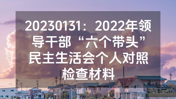 20230131：2022年领导干部“六个带头”民主生活会个人对照检查材料