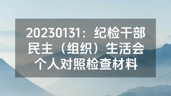 20230131：纪检干部民主（组织）生活会个人对照检查材料