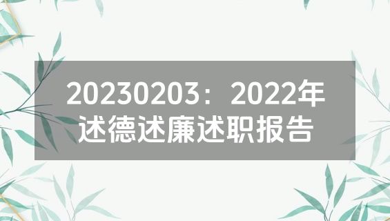 20230203：2022年述德述廉述职报告