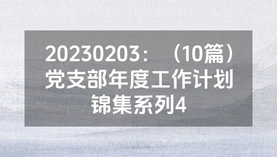 20230203：（10篇）党支部年度工作计划锦集系列4
