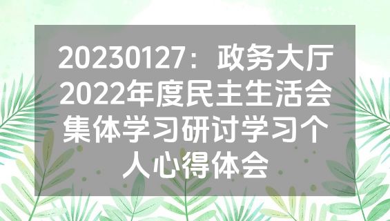 20230127：政务大厅2022年度民主生活会集体学习研讨学习个人心得体会