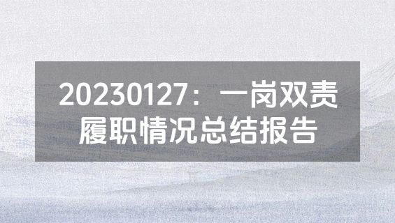 20230127：一岗双责履职情况总结报告