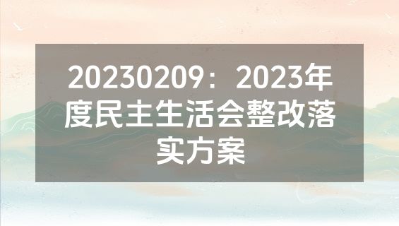 20230209：2023年度民主生活会整改落实方案
