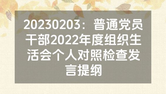 20230203：普通党员干部2022年度组织生活会个人对照检查发言提纲