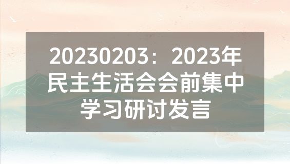 20230203：2023年民主生活会会前集中学习研讨发言