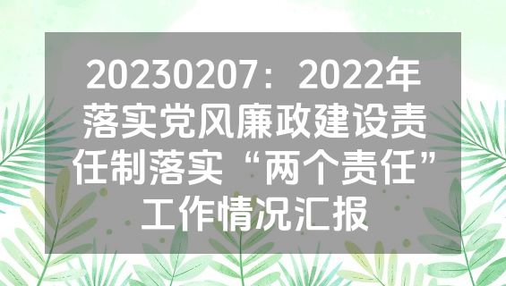 20230207：2022年落实党风廉政建设责任制落实“两个责任”工作情况汇报