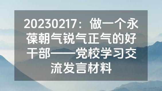 20230217：做一个永葆朝气锐气正气的好干部——党校学习交流发言材料