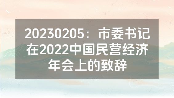 20230205：市委书记在2022中国民营经济年会上的致辞
