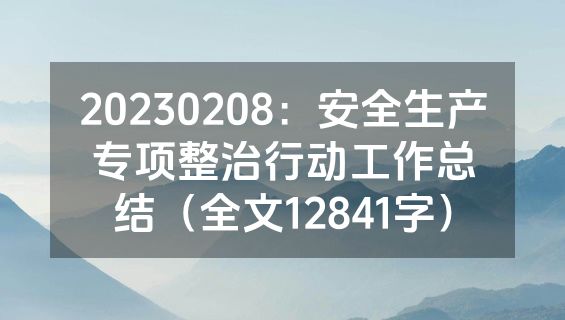 20230208：安全生产专项整治行动工作总结（全文12841字）