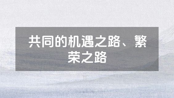 共同的机遇之路、繁荣之路