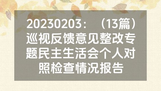20230203：（13篇）巡视反馈意见整改专题民主生活会个人对照检查情况报告