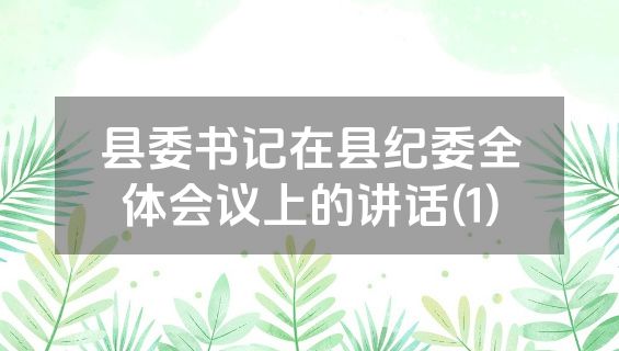 县委书记在县纪委全体会议上的讲话(1)