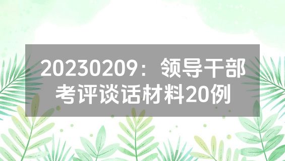 20230209：领导干部考评谈话材料20例