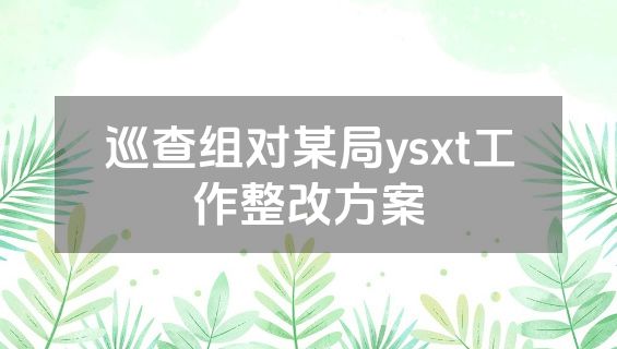 巡查组对某局ysxt工作整改方案