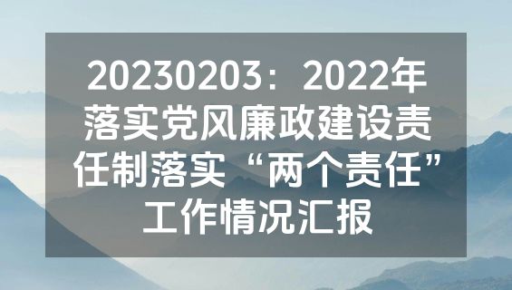20230203：2022年落实党风廉政建设责任制落实“两个责任”工作情况汇报