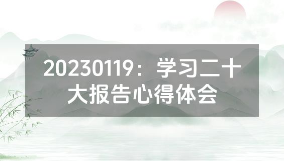 20230119：学习二十大报告心得体会