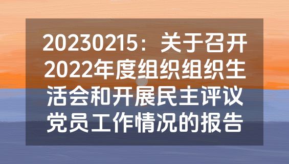 20230215：关于召开2022年度组织组织生活会和开展民主评议党员工作情况的报告