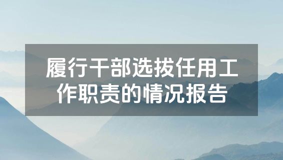 履行干部选拔任用工作职责的情况报告