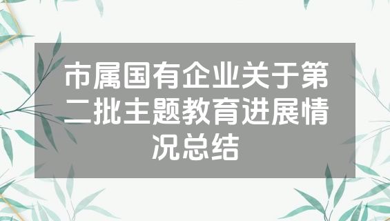市属国有企业关于第二批主题教育进展情况总结