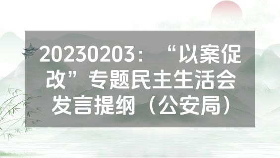 20230203：“以案促改”专题民主生活会发言提纲（公安局）