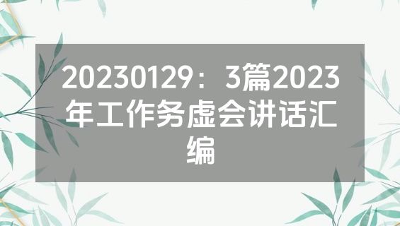 20230129：3篇2023年工作务虚会讲话汇编
