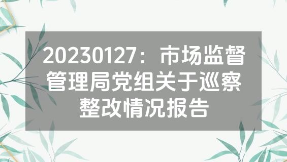 20230127：市场监督管理局党组关于巡察整改情况报告