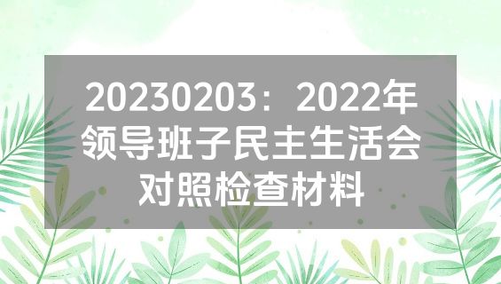 20230203：2022年领导班子民主生活会对照检查材料