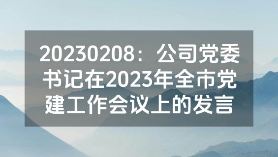 20230208：公司党委书记在2023年全市党建工作会议上的发言